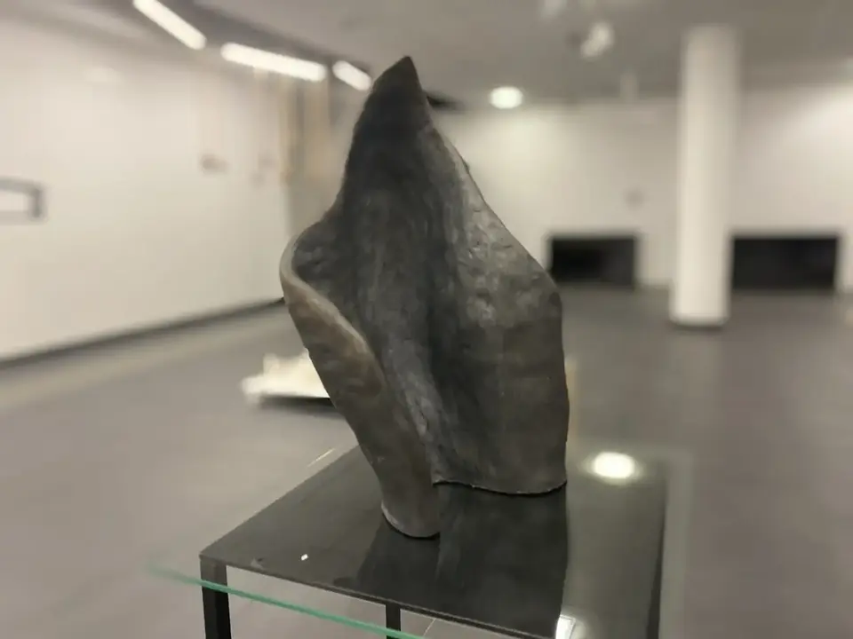Ciemna ceramiczna rzeźba na czarnym postumencie za szklaną osłoną. W ukośnym ujęciu jeden silnie wygięty płat tworzy asymetryczną sylwetkę: po lewej zawija się do wnętrza, po prawej rozszerza, a u góry zwęża ku ostremu zwieńczeniu. Przez środek biegnie głęboka pionowa wklęsłość. Matowa powierzchnia przechodzi od czerni do grafitowych i szarych plam; białe wnętrze galerii w tle jest rozmyte.