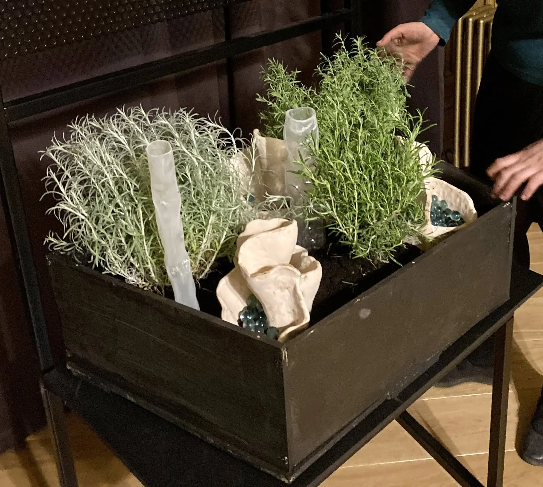 Widok Ogródka z góry i z boku. Czarną prostokątną konstrukcję wypełniają żywe zioła, pomiędzy którymi rozmieszczono jasne organiczne formy ceramiczne, przezroczyste pionowe tafle i rurki oraz drobne niebieskozielone elementy szklane.