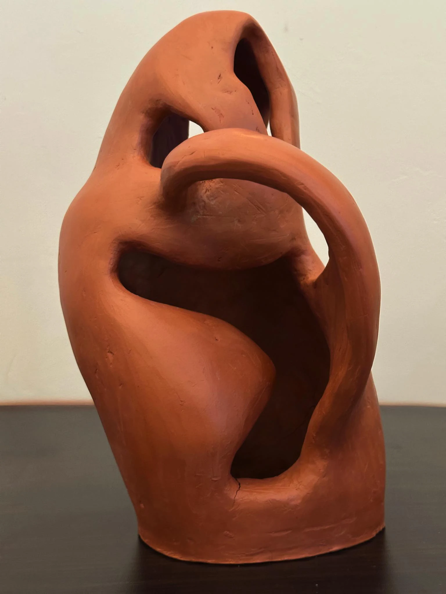 Ceramiczna rzeźba „Nie Dzban” widziana pod skosem. Wysmukłą, pionową bryłę otwiera duży, nieregularny prześwit. Przez jego górną część biegnie gruby, zaokrąglony łuk, który wychodzi z korpusu i ponownie się z nim łączy. Wewnątrz prześwitu od lewej strony wysuwa się gładka, pękata forma; powyżej widoczne są dwa mniejsze otwory. Matowa, nieszkliwiona powierzchnia ma na fotografii ciepły, rdzawobrązowy odcień.