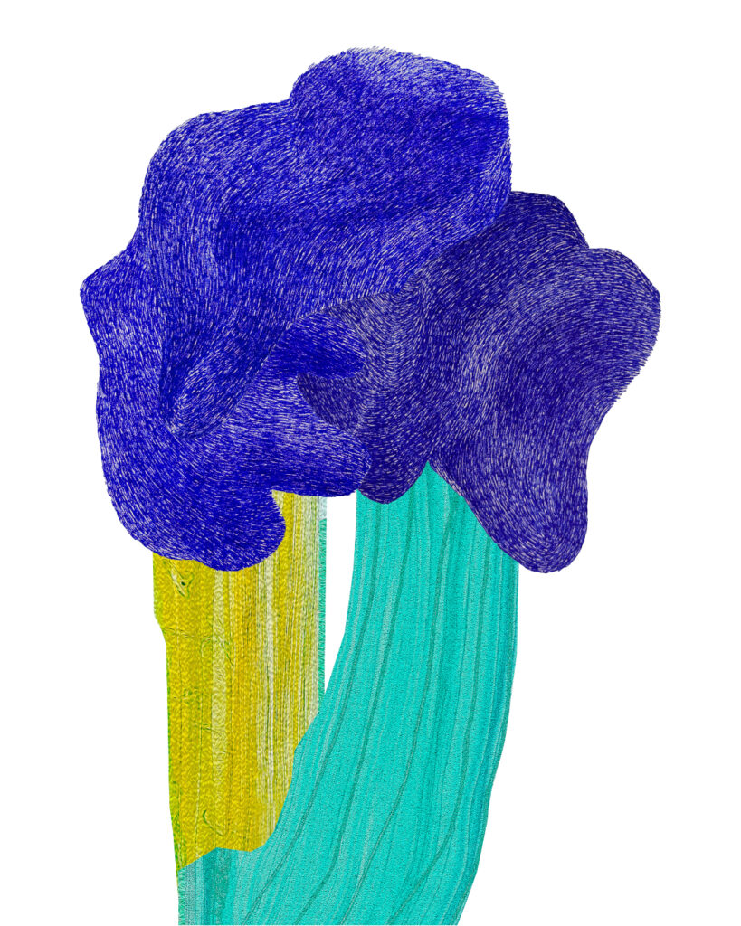 Plakat wystawy Percepcje